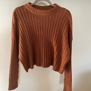American Eagle Cropped Sweater